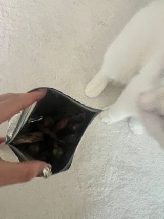 소원구르밍님이 올린 리뷰 사진 3