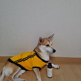 여왕개미님이 올린 리뷰 사진 3