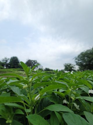 뫙님님이 올린 리뷰 사진 1