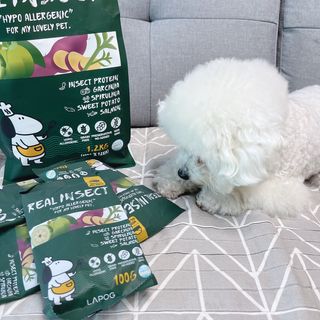 [푸디웜] 라포그  리얼인섹트 웨이트밸런스 저알러지 강아지 사료  1.2KG — 5점을 준 리뷰어가 2022년 7월 올린 사용 사진