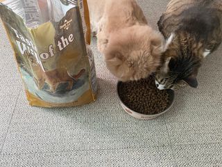 스노우볼토끼님이 올린 리뷰 사진 2