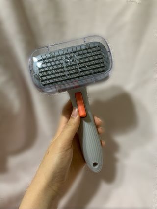 호두님이 올린 리뷰 사진 2