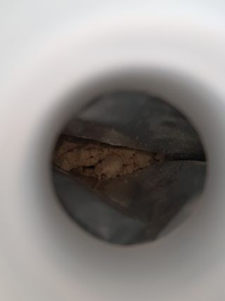 쪼꼬사랑이언니님이 올린 리뷰 사진 3
