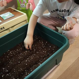 [메이크정글] 이제는 나도 도시농부, 키우기 쉬운 저면관수화분 BIG텃밭세트 — 5점을 준 리뷰어가 2023년 5월 올린 사용 사진