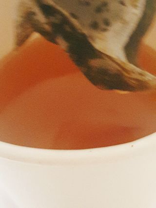 간절히바라던바다님이 올린 리뷰 사진 3