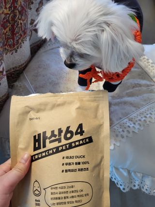 [보헤리] 국내산 강아지 육포간식 바삭 64 2종 — 5점을 준 리뷰어가 2022년 4월 올린 사용 사진