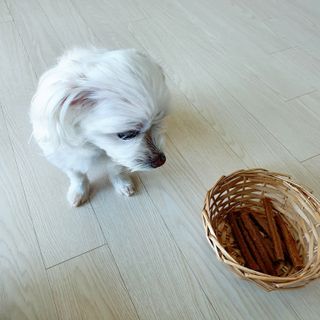 마루아토ღ'ᴗ'ღ님이 올린 리뷰 사진 2