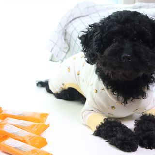 우와한언니님이 올린 리뷰 사진 3