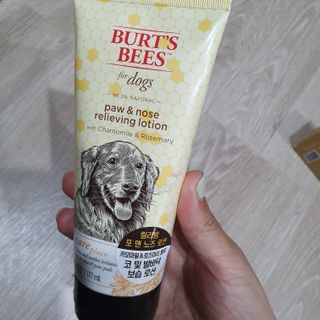 아코맘님이 올린 리뷰 사진 1