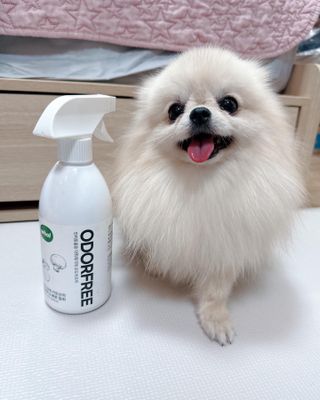 마이츄님이 올린 리뷰 사진 1