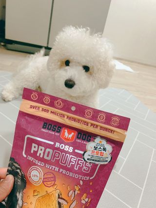 bk6329님이 올린 리뷰 사진 1
