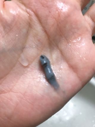 웃음의여왕님이 올린 리뷰 사진 4