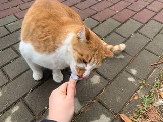 연이님이 올린 리뷰 사진 1