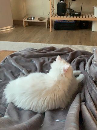 례진님이 올린 리뷰 사진 2
