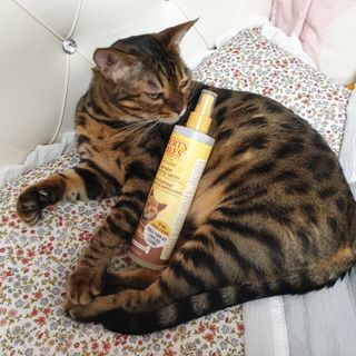 floria님이 올린 리뷰 사진 1
