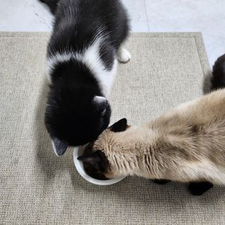 숑이님이 올린 리뷰 사진 3