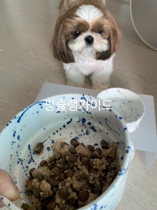박코끼리님이 올린 리뷰 사진 2