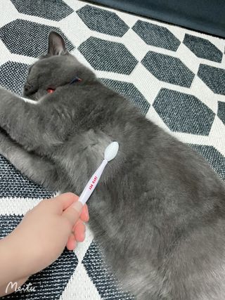 [자유펫] 고양이 턱드름 여드름 예방 및 제거 세트, 블랙씨드케어박스 — 4.5점을 준 리뷰어가 2021년 10월 올린 사용 사진