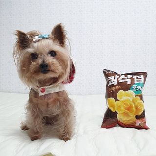 솜희님이 올린 리뷰 사진 3