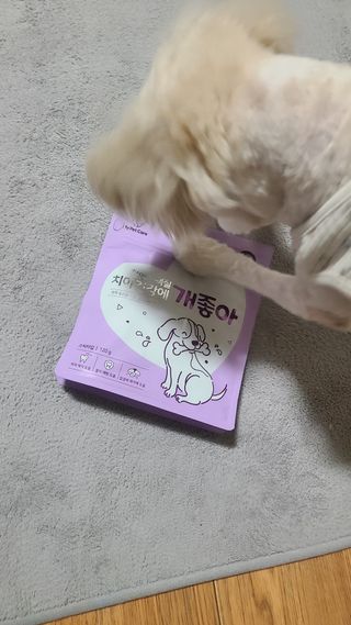 My Pet Care 천연단백질 치아건강에 개좋아 — 5점을 준 리뷰어가 2021년 1월 올린 사용 사진