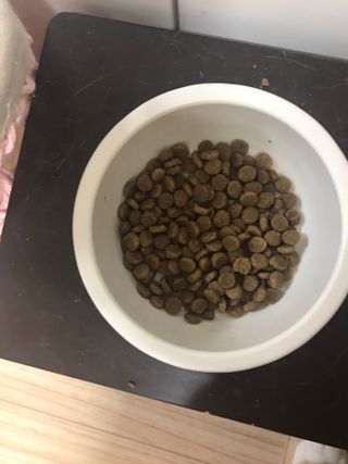오필리뷰님이 올린 리뷰 사진 3