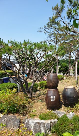 써니써니썬님이 올린 리뷰 사진 2