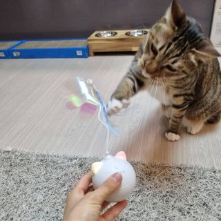 도로농농님이 올린 리뷰 사진 2