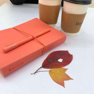 beautymari님이 올린 리뷰 사진 1