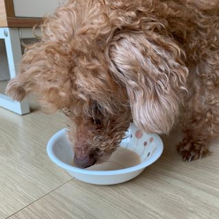 ZiunYang님이 올린 리뷰 사진 3