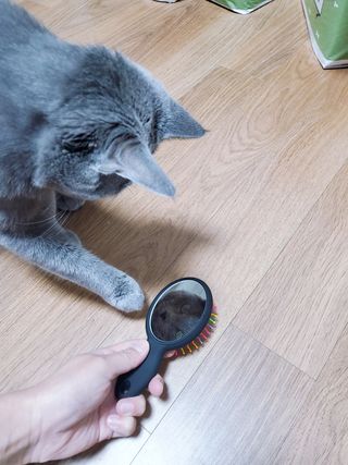 보리엄마님이 올린 리뷰 사진 4