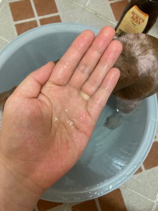 딘두님이 올린 리뷰 사진 3