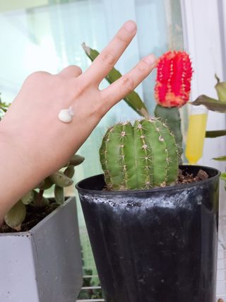 러블리혜교님이 올린 리뷰 사진 4