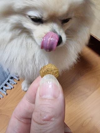 레오포포님이 올린 리뷰 사진 4