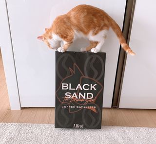 으나님이 올린 리뷰 사진 1