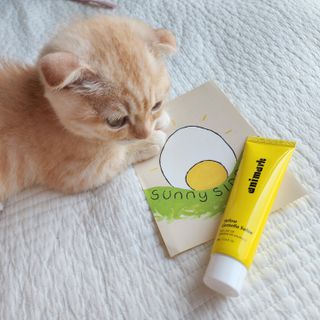 쭌뭉님이 올린 리뷰 사진 3