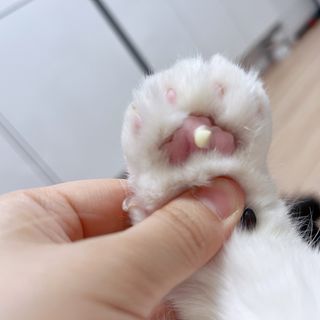 송유미님이 올린 리뷰 사진 1