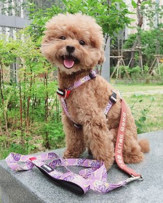 리뷰하는래미씨님이 올린 리뷰 사진 1