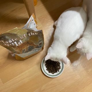 모너아리님이 올린 리뷰 사진 3