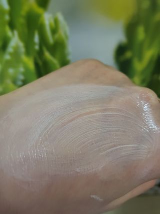 유성인성맘님이 올린 리뷰 사진 1