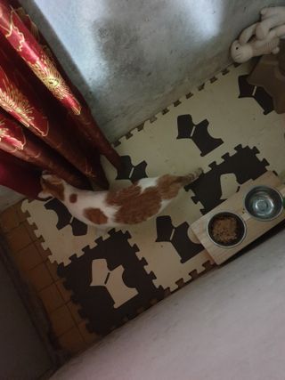 슈가슉아님이 올린 리뷰 사진 2