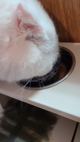 논지님이 올린 리뷰 사진 4