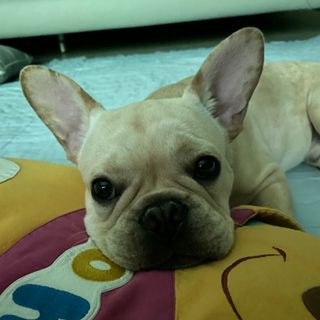 얼음중전님이 올린 리뷰 사진 3