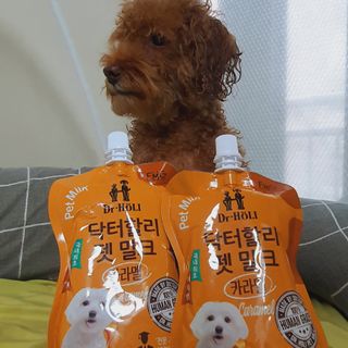 제이드님이 올린 리뷰 사진 1