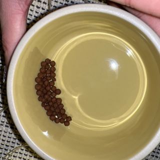 소원구르밍님이 올린 리뷰 사진 3