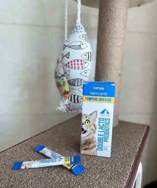 ccoyo님이 올린 리뷰 사진 2