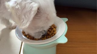 망아진가봄님이 올린 리뷰 사진 3