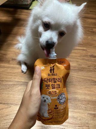 민트초코님이 올린 리뷰 사진 4