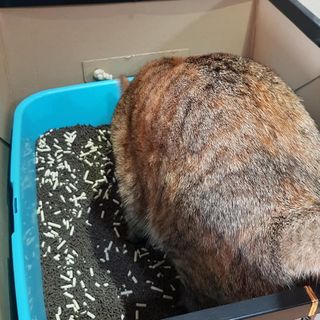 똥수니님이 올린 리뷰 사진 4