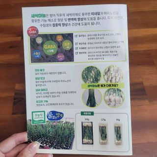 이타마님이 올린 리뷰 사진 4