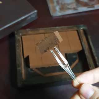 시크하게님이 올린 리뷰 사진 4